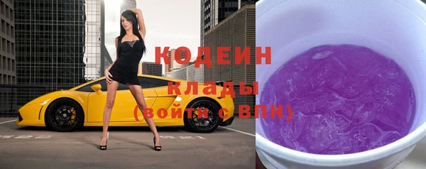 хмурый Алексин
