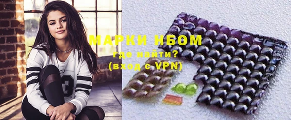хмурый Алексин